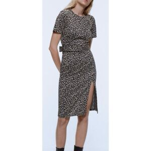 Zara Animal Print Dress
